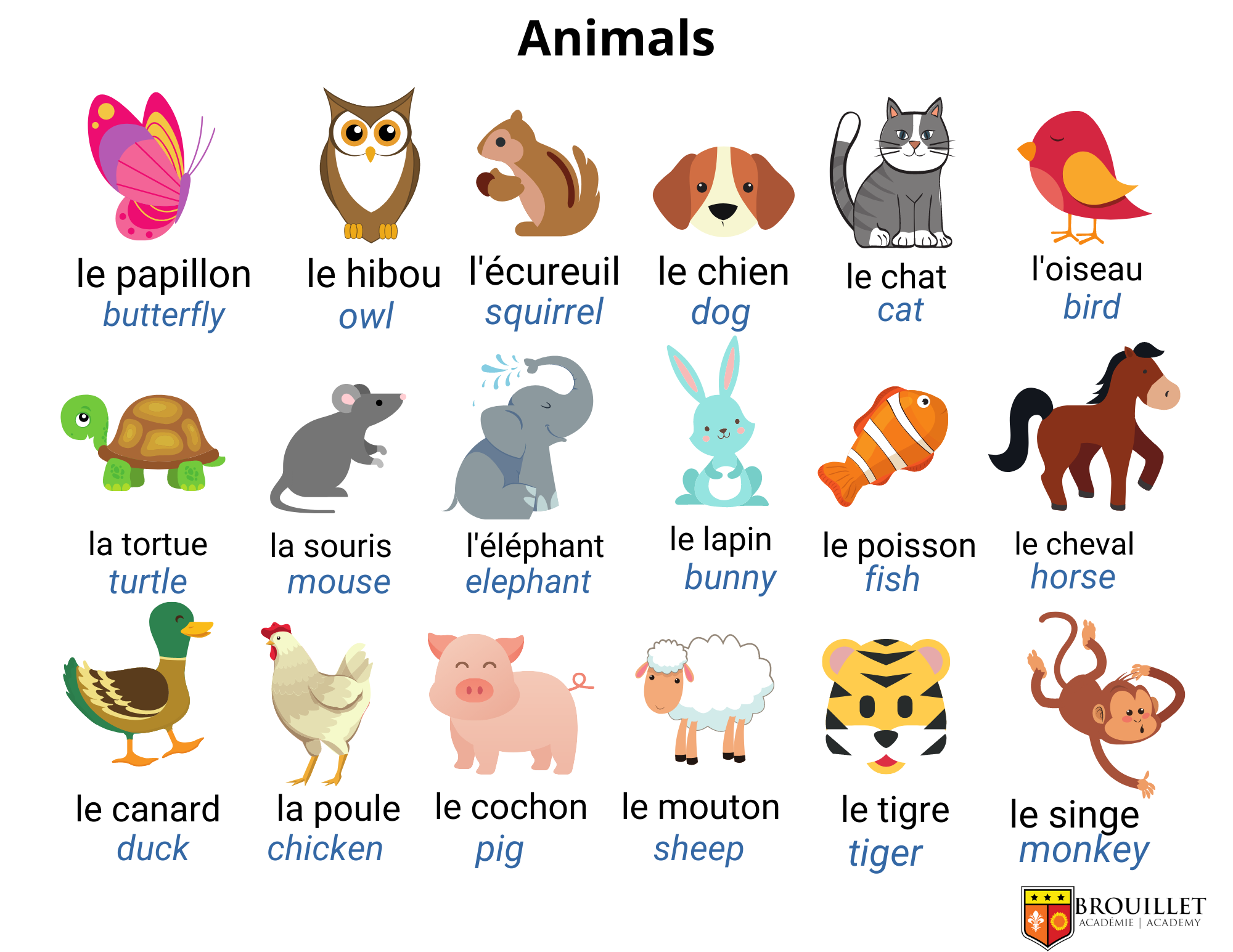 French Vocabulary: Words You Should Know! - Brouillet Academy