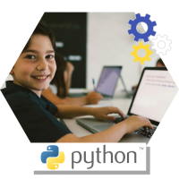 python website icon